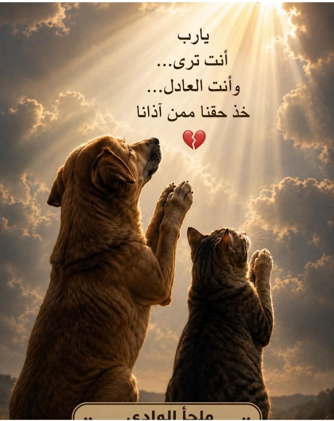 صراع مافيات 1 IMG ٢٠٢٦٠٥٢٩ ١١٣٧٥١