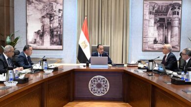 رئيس الوزراء يستعرض مع وزير التعليم العالي الموقف التنفيذي للمدينة الطبية بجامعة عين شمس وعددًا من التكليفات الرئاسية 6 FB IMG 1782173029230