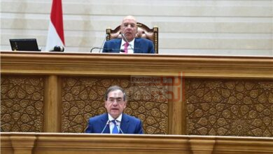 عاجل|النواب يوافق نهائيًا على اتفاقية التنقيب عن البترول في منطقة شرق الإسكندرية البحرية 3 333