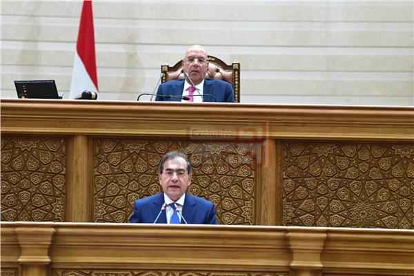 عاجل|النواب يوافق نهائيًا على اتفاقية التنقيب عن البترول في منطقة شرق الإسكندرية البحرية 1 333