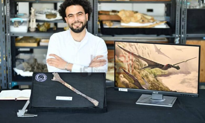 وزير التعليم العالي يهنئ جامعة المنصورة بمناسبة اكتشاف علمي عالمي جديد في مجال الحفريات الفقارية 1 FB IMG 1782869256066