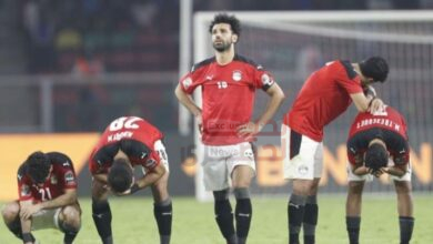 هزيمه مخططه لمصر بعد دعم القضيه الفلسطينيه 2 IMG 20260707 213221