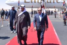 الرئيس السيسي و دوله الامارات