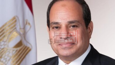 نشاط رئاسي مكثف في دار السلام.. الرئيس السيسي يشهد ختام اجتماع رجال الأعمال المصري التنزاني 6 السيسي