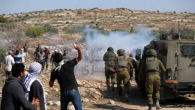 فلسطين