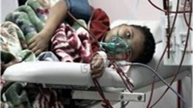 عاجل.. ارتفاع عدد ضحايا العدوان الإسرائيلي على غزة إلى 73293 شهيدًا و173906 مصابين 5 كم