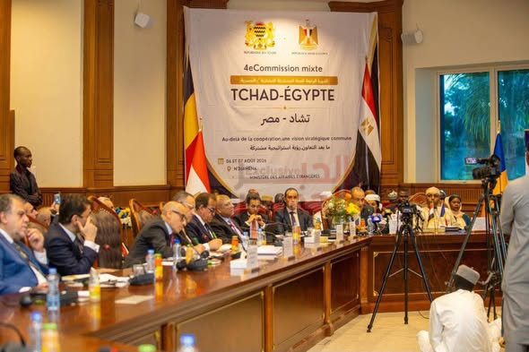 الدكتور عبد العزيز قنصوة وزير التعليم العالي والبحث العلمي والقائم بعمل وزير الثقافة يشارك في أعمال الدورة الرابعة للجنة المشتركة المصرية التشادية 1 5555