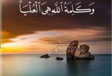 FB IMG 1787424223451