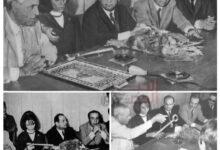 FB IMG 1788165375668