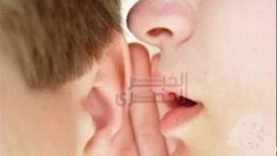 ادينى ودنك 4 Screenshot 20260815 031309 Google