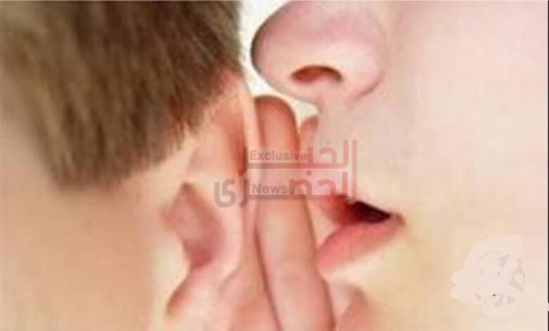 ادينى ودنك 1 Screenshot 20260815 031309 Google