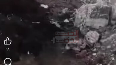 مناشدة عاجلة إلى المسؤولين.. طريق البحر الصغير يستغيث! 🚨 4 Screenshot ٢٠٢٦ ٠٨ ٢٠ ١٨ ٠٩ ٢٢ ٤٨٣ com.facebook.katana